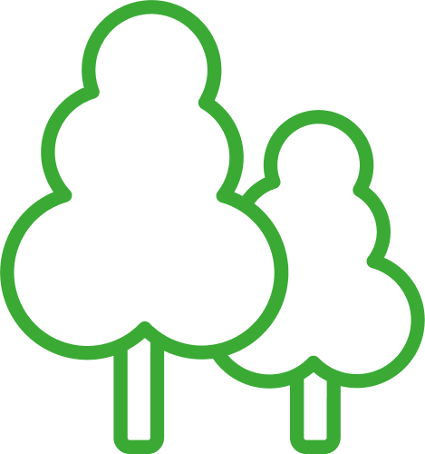 Arbol